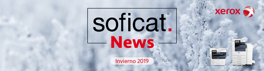 Cabezera Newsletter Invierno