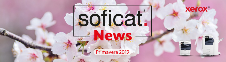 Cabezera Newsletter Primavera