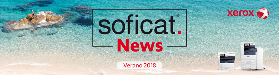 Cabezera Newsletter Invierno