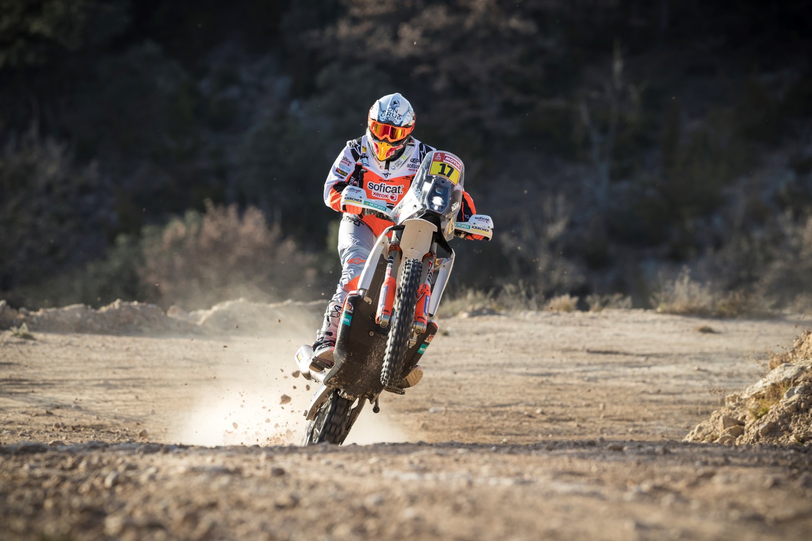 Soficat Xerox Laia Sanz Pre Dakar 2019 