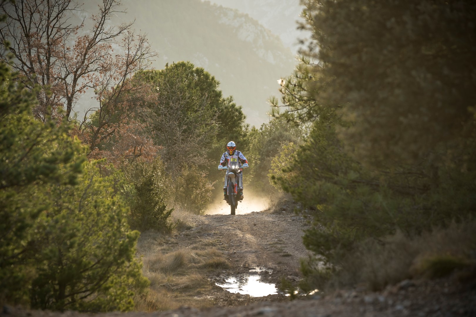 Soficat Xerox Laia Sanz Pre Dakar 2019 