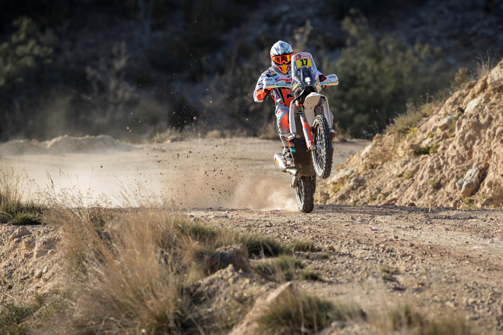 Soficat Xerox Laia Sanz Pre Dakar 2019 